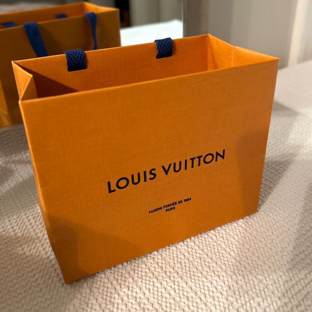Louis Vuitton Small Empty Paper Gift Bag – AuthentiC